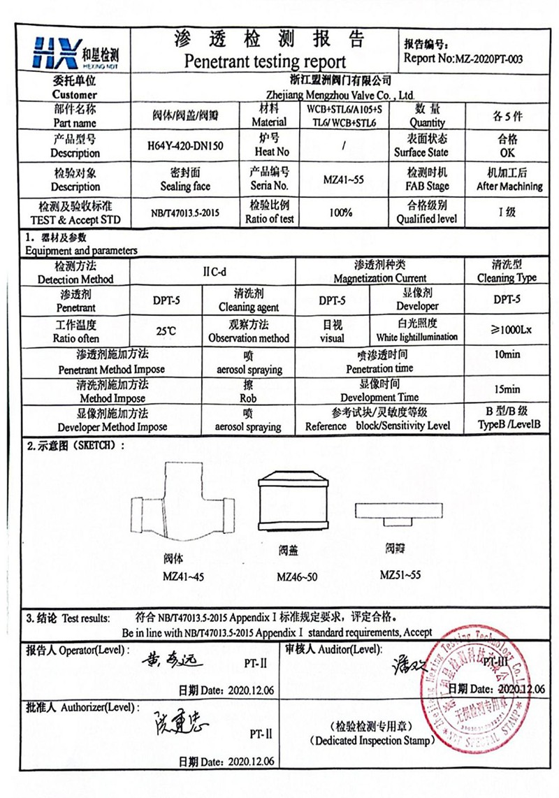 Type test and inspection report