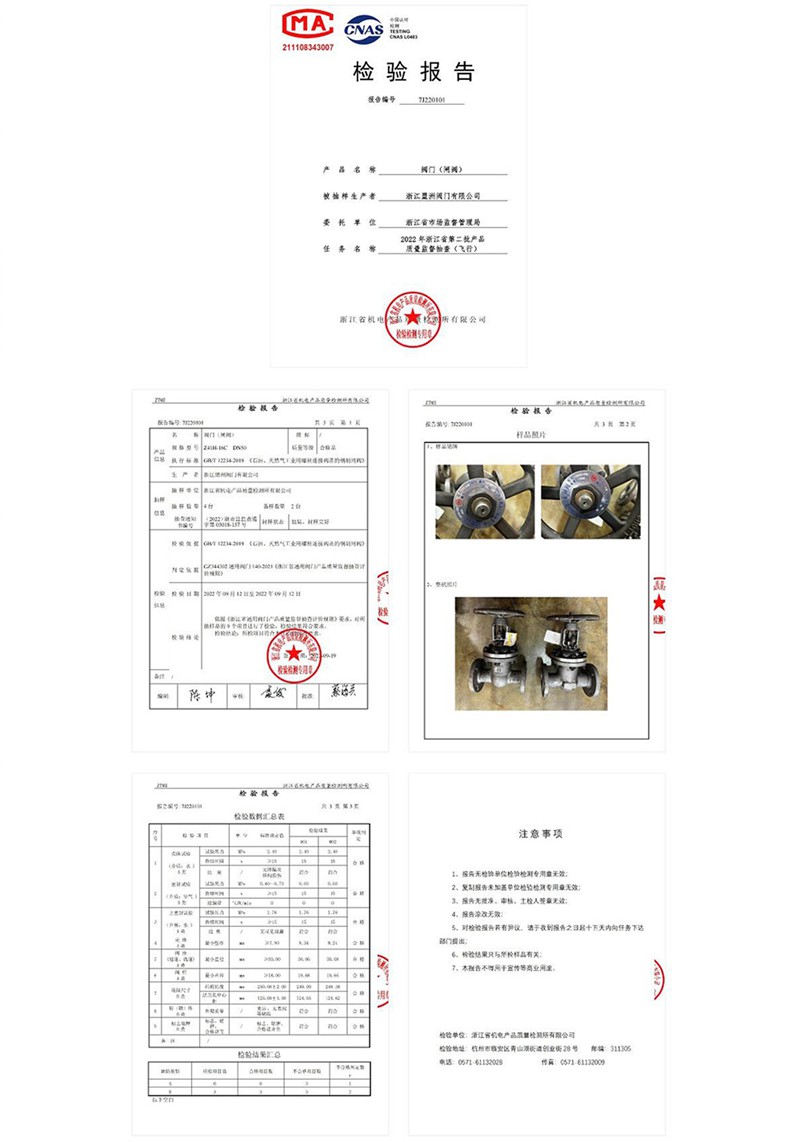 Inspection Report (Gate Valve)